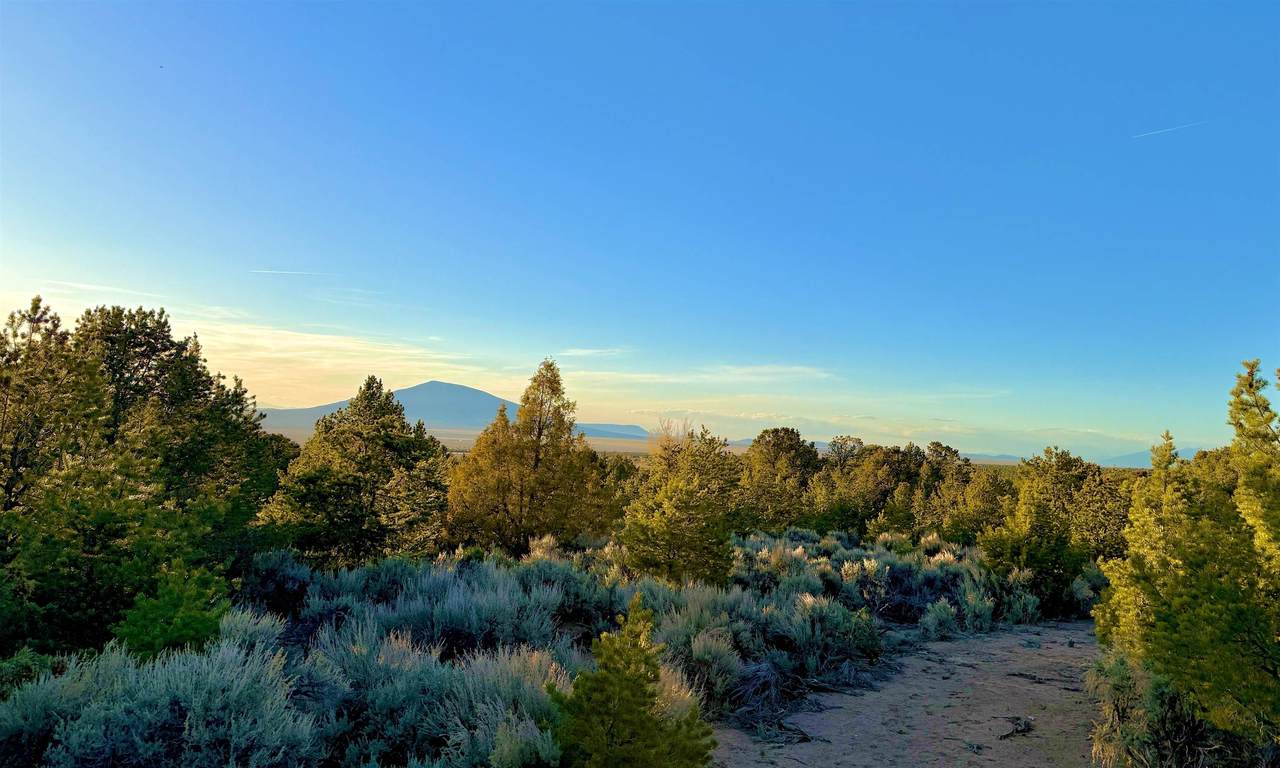 Tract C Jedidiah Rd - Photo 1