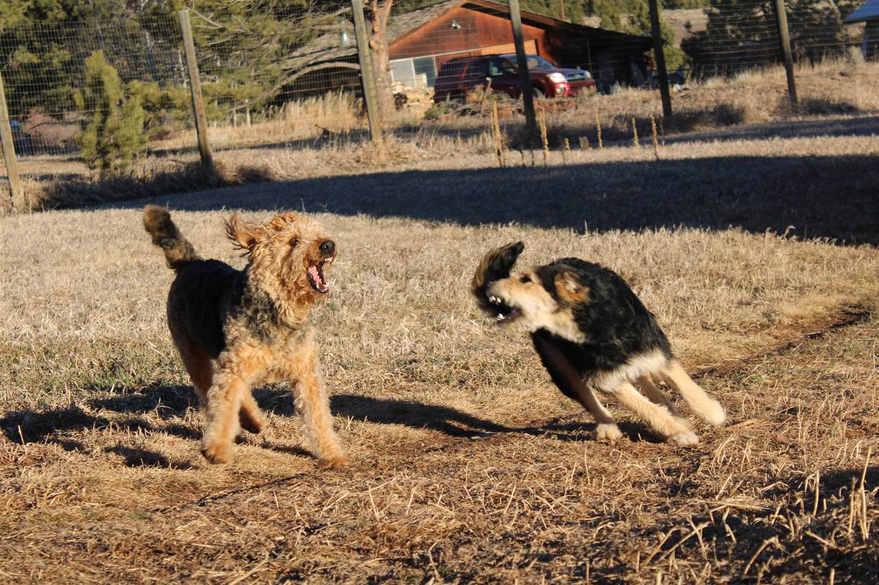https://bt-photos.global.ssl.fastly.net/taos/1280_boomver_3_113955-2.jpg