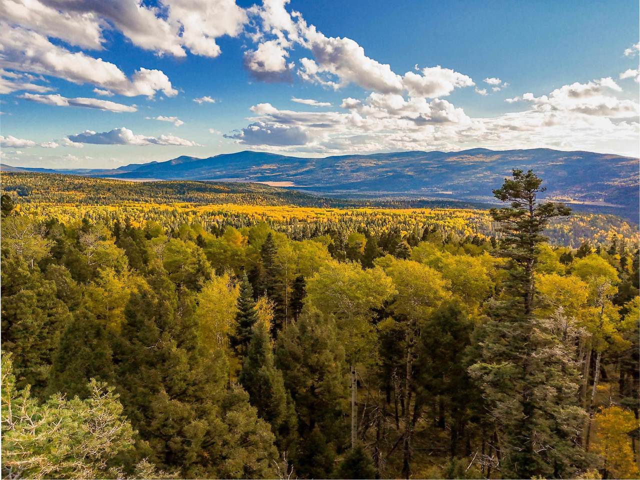 https://bt-photos.global.ssl.fastly.net/taos/1280_boomver_3_114371-2.jpg
