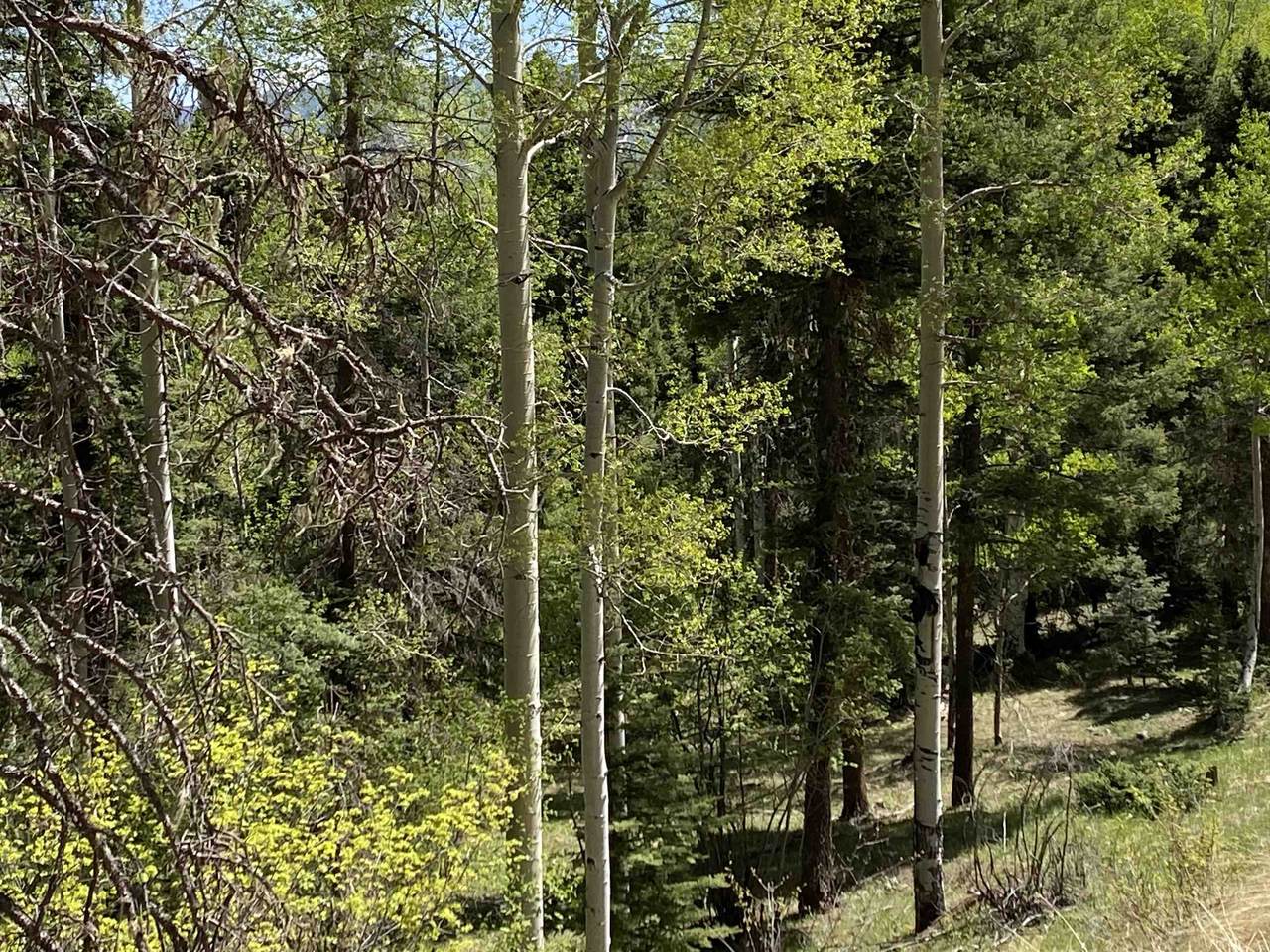 lot 2557 Chalet 3 - Photo 1