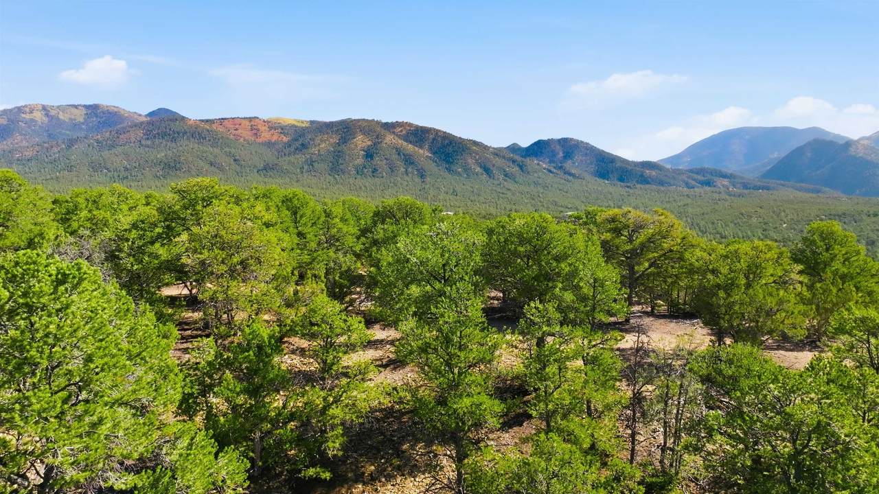  Lot 10 Deer Mesa Road - Photo 1