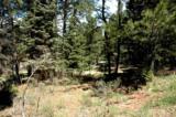 Lot 73 Mammoth Mountain Road - Photo 1