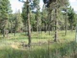 Lot 11 Palo Flechado Ridge Road - Photo 2