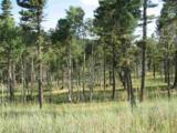 Lot 11 Palo Flechado Ridge Road - Photo 4