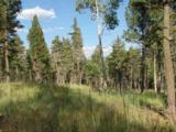 Lot 11 Palo Flechado Ridge Road - Photo 5