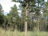 Lot 11 Palo Flechado Ridge Road - Photo 7