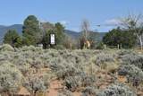 Tr A2 Blueberry Hill - Photo 16