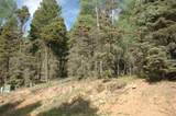 1369 Santo Domingo Trail - Photo 10