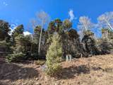 1369 Santo Domingo Trail - Photo 5