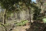 1370 Santo Domingo Trail - Photo 8