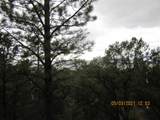97 Upper Pinabete - Photo 4