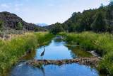  Riverbend Road - Photo 9