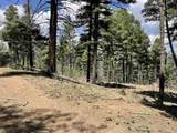 397 Vail Loop - Photo 13