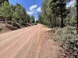 397 Vail Loop - Photo 18