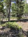 357 Vail Loop - Photo 5