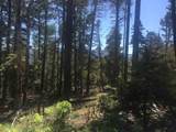 Lot 337 Rio Arriba - Photo 5