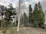 Lot 17 Palo Flechado Ridge Road - Photo 8