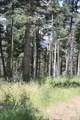 lot 83 Elk Horn - Photo 10