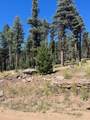lot 1246 El Camino Real - Photo 1