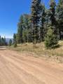 lot 1246 El Camino Real - Photo 3