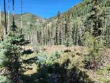 9 and 10 John Burroughs Trail - Photo 3