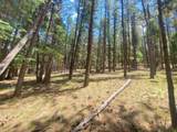 Lot 90 Back Basin - Photo 10