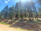 Lot 90 Back Basin - Photo 8