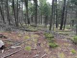 lot 194 Taos Pl - Photo 8