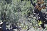  Matisse Road - Photo 20