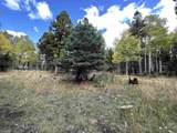 Lot 1174 Cheerful Way - Photo 4