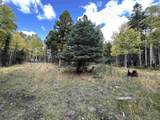 Lot 1174 Cheerful Way - Photo 5