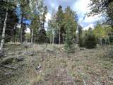 Lot 1407 Camino Real - Photo 5