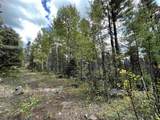 Lot 1407 Camino Real - Photo 6