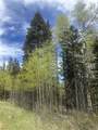 Lot 64 Mertz Place - Photo 13