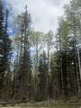 Lot 64 Mertz Place - Photo 19