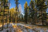 Lot 64 Mertz Place - Photo 6