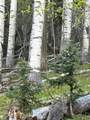 1277 Highway 150 - Photo 7