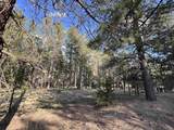 Lot 8 Pine Valley Dr - Photo 2