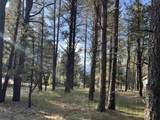 Lot 8 Pine Valley Dr - Photo 3