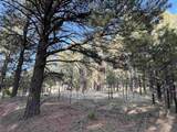 Lot 8 Pine Valley Dr - Photo 4
