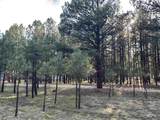 Lot 8 Pine Valley Dr - Photo 5