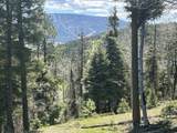 Lot 13 Palo Flechado Ridge Road - Photo 1