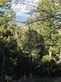 Lot 13 Palo Flechado Ridge Road - Photo 10