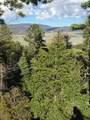 Lot 13 Palo Flechado Ridge Road - Photo 11