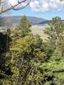 Lot 13 Palo Flechado Ridge Road - Photo 12