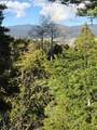 Lot 13 Palo Flechado Ridge Road - Photo 14