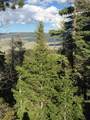 Lot 13 Palo Flechado Ridge Road - Photo 16