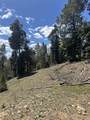 Lot 13 Palo Flechado Ridge Road - Photo 19