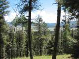 Lot 13 Palo Flechado Ridge Road - Photo 2