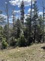 Lot 13 Palo Flechado Ridge Road - Photo 20